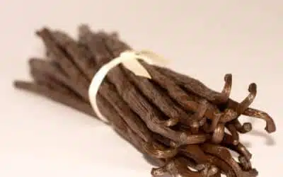 Madagascar vanilla: An ingredient of excellence for professionals