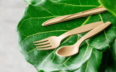 Les Nouvelles Pailles: 100% Eco-Friendly Straws and Cutlery Made from Sugarcane