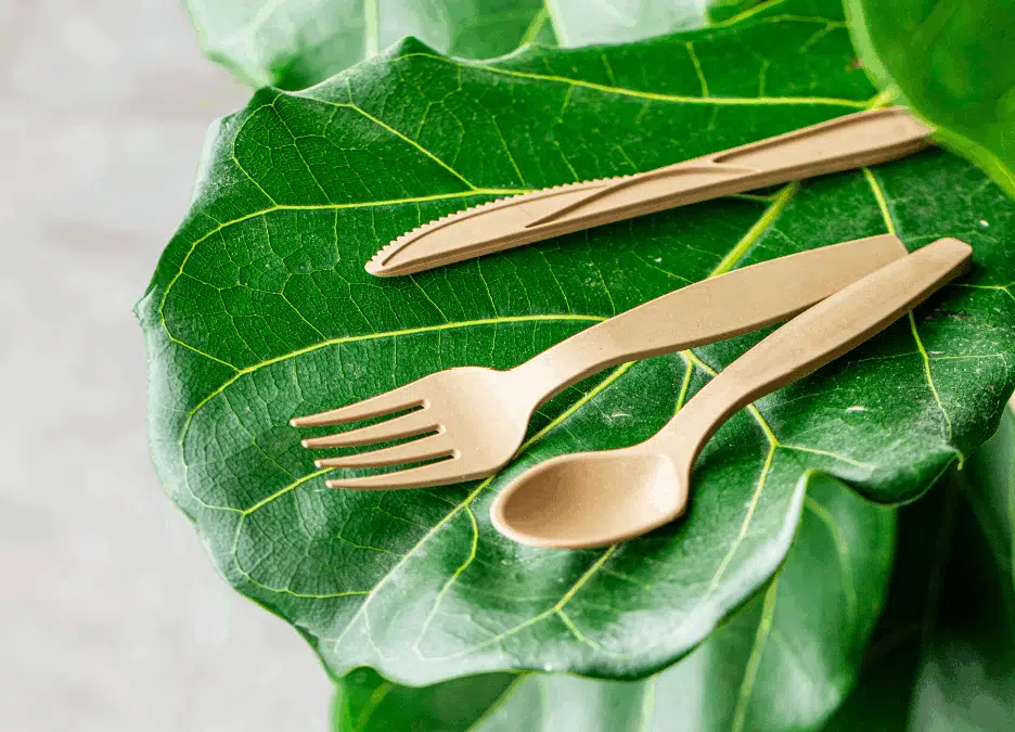 Les Nouvelles Pailles: 100% Eco-Friendly Straws and Cutlery Made from Sugarcane