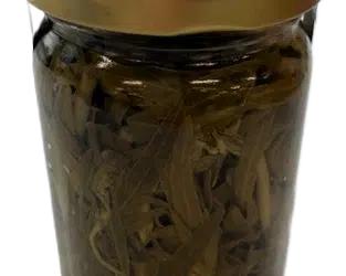 Tarragon sprigs in vinegar, an original recipe idea