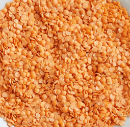 TRESCARTE’S CORAIL LENTILS