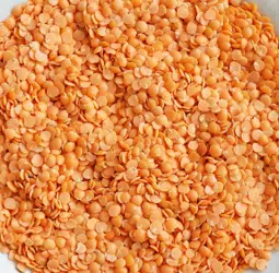 TRESCARTE’S CORAIL LENTILS