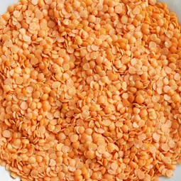 trescate’s corail lentils trescarte's corail lentils
